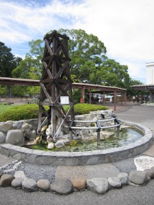 伊豆高原駅 美足の湯
