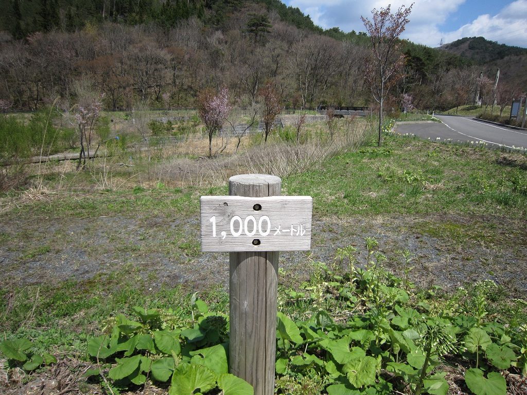 浅虫温泉 ほたる湖 1000m