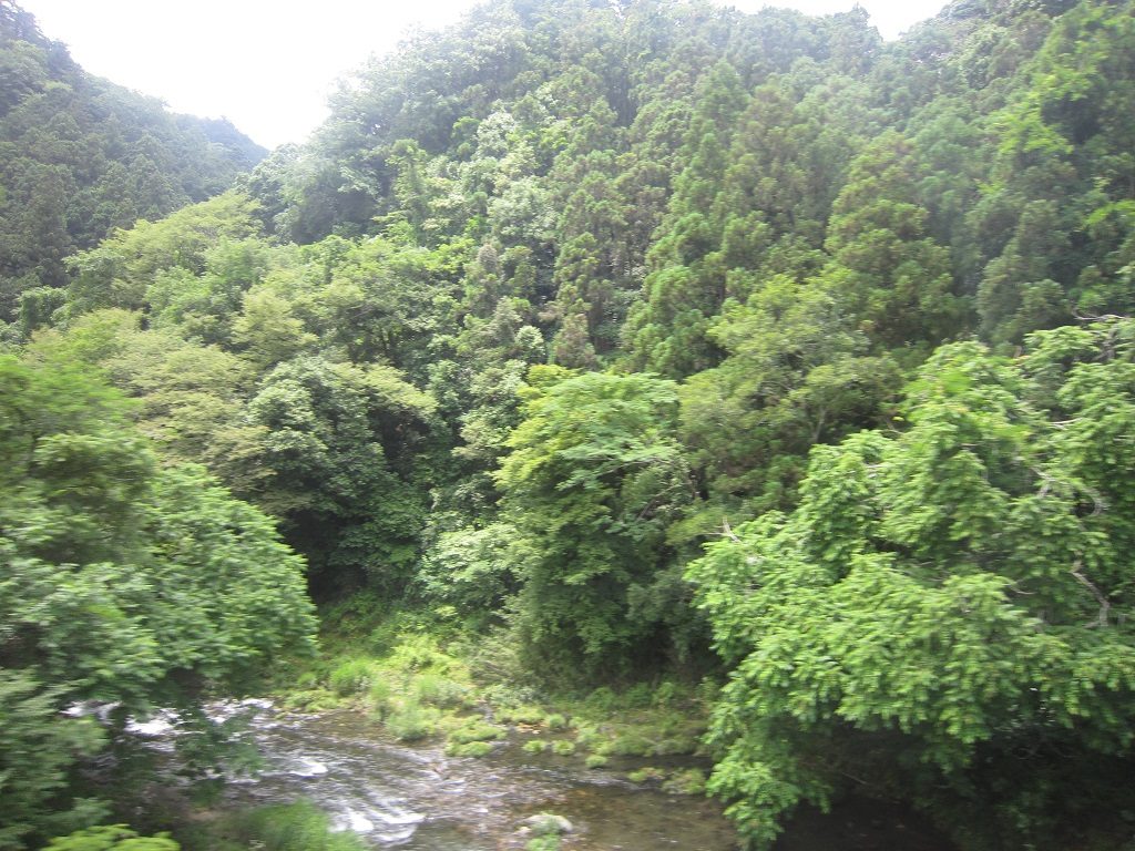 西武秩父線 車窓の風景