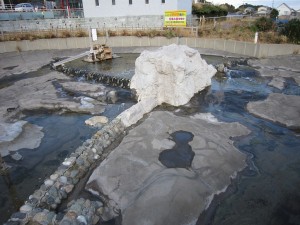 道の駅 鴨川オーシャンパーク 魚を飼ってる池?