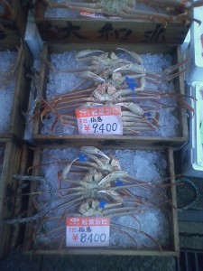 松葉がに 城崎温泉にて