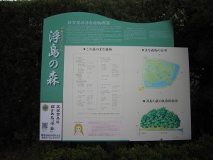 浮島の森 おいの伝説