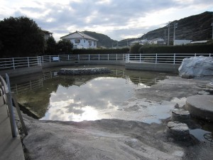 道の駅 鴨川オーシャンパーク 子供の水遊び場?