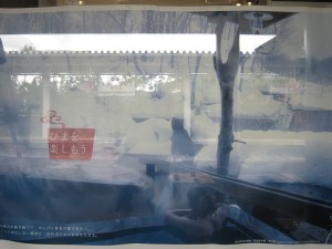 乳頭温泉郷 妙の湯温泉 混浴露天風呂