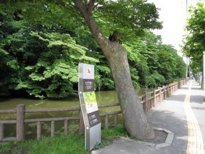千秋公園 大手門通り