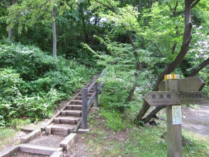 千秋公園 鐘楼 この階段がきつい