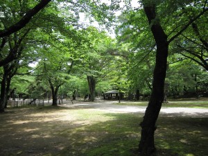 久保田城跡 本丸所在地周辺