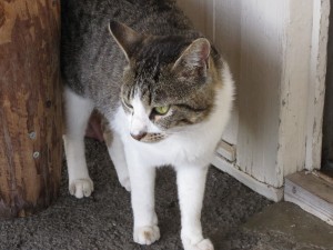 2013072804