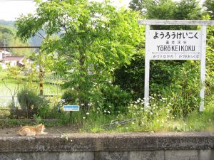 小湊鉄道 養老渓谷駅 今は使われていないホーム