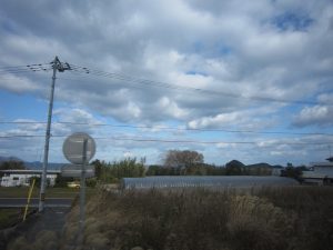 JR高徳線 列車から海が見えます