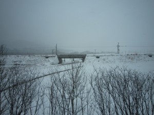 きらきらうえつ号からの車窓 だいぶ雪が積もってるみたいです
