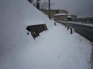 温海温泉へ行く途中 歩道が雪で埋まってます