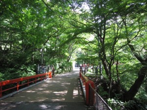 伊香保神社から先 伊香保温泉露天風呂へとつながる道です