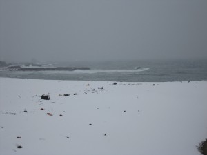 あつみ温泉駅の近くで撮影 雪景色の日本海