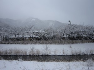 この川沿いを先に行ったところが、温海温泉です