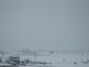 越後湯沢を出ても、やっぱり雪 上越新幹線の車窓より
