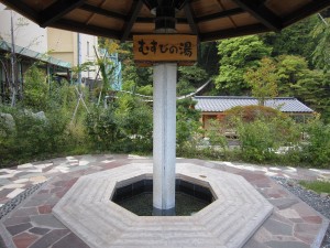川治ふれあい公園 足湯 むすびの湯