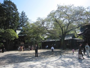 二荒山神社 境内 今日は七五三でした