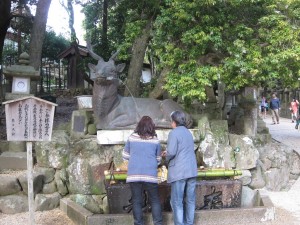 春日大社 手を洗うところ ここにも鹿がいます