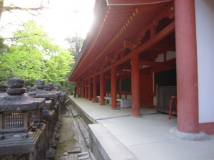 春日大社と言えばこのカットですよね 入口から横に撮ってみました