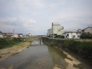特急ワイドビュー南紀からかろうじて見えた海(?)