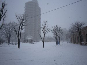 JR函館本線 森林公園駅 大雪の駅前ロータリー