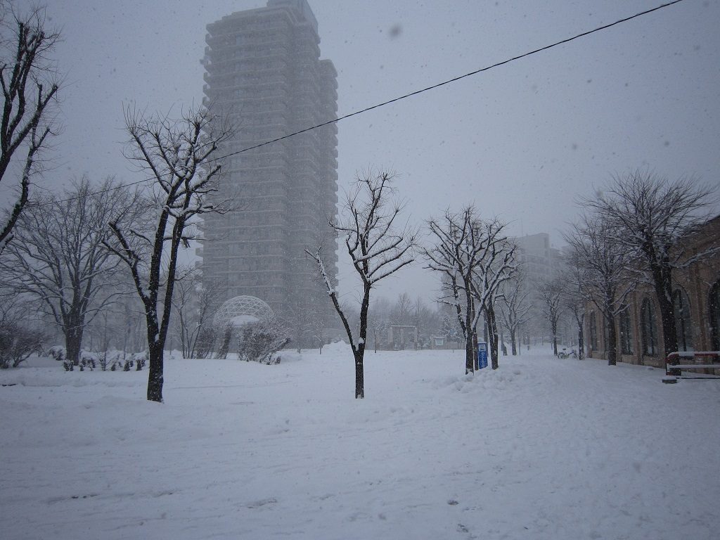 JR函館本線 森林公園駅 大雪の駅前ロータリー