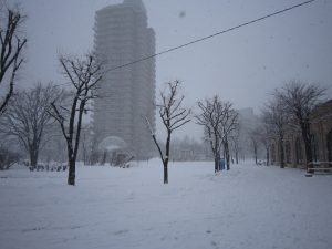 JR函館本線 森林公園駅 大雪の駅前ロータリー