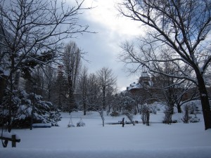 北海道庁赤レンガ庁舎 庭園 雪ががっつりと積もっていて、池は凍っています