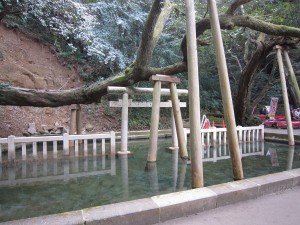 鹿島神宮 御手洗池