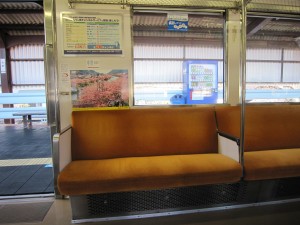 伊豆急行8000系 山側のロングシート 河津駅にて
