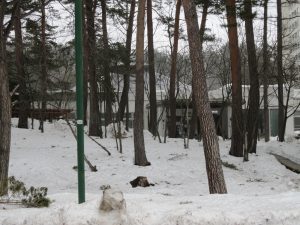 草津温泉 テルメテルメ 建物 冬は雪に埋まります