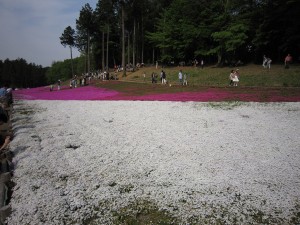 2014050411