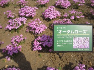 2014050413