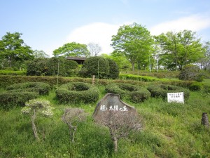 秩父 羊山公園 緑と太陽の丘