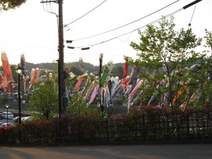 秩父湯元 武甲温泉 時節柄こいのぼりがいました