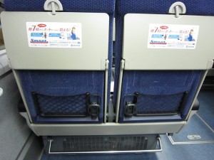 西武鉄道10000系 特急レッドアロー ちちぶ号 シート 背面から撮影