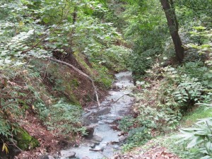 蔵王温泉 大露天風呂 このせせらぎのすぐ手前が男湯です