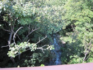 山形 蔵王温泉 酢川 強酸泉と川の水が混ざる川です