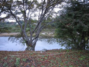 秩父川端温泉 梵の湯 その名の通り荒川沿いにあります