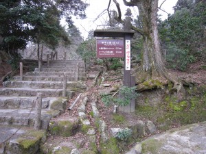 宮島ロープウェイまでは500mだそうです