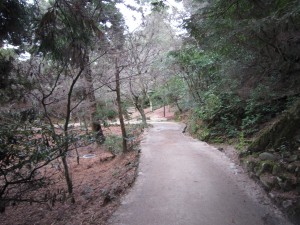 紅葉谷園地と思われる 宮島ロープウェイまでの道すがら