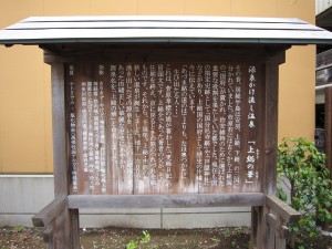 市原天然温泉 江戸遊 源泉かけ流し温泉 「上総の華」 解説