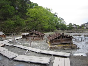 日光湯元温泉 源泉 全景その2 湿原からも温泉が湧き出ています