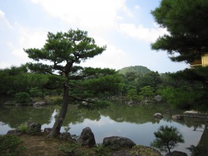 金閣寺 鹿苑寺金閣の前の庭園