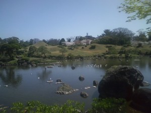 前回行った時の水前寺成趣園 園内に桜が咲いています