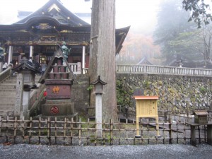 秩父 三峯神社 ご神木 樹齢800年の杉の木です