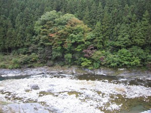 荒川 大滝温泉 遊湯館の展望風呂と露天風風呂から見えます
