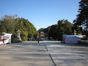 鶴岡八幡宮 境内 朝が早かったので閑散としていました