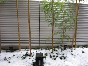 リッチモンドホテル 長崎思案橋 玄関 竹の植え込みに雪が積もっていました